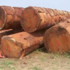 Doussie Wood Logs (Afzelia)